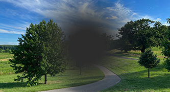Macular Degeneration